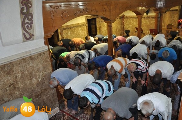 trawe7 mahmodiya 713 (29).JPG